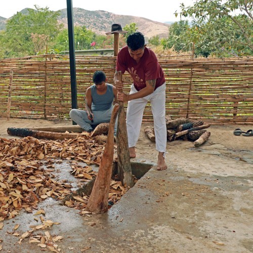 Zerteilen der Agaven mit Holzhammer bei Sacapalabras